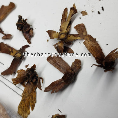 CBT4020 - Tetrapterys sp (methyestica?) 5 seeds